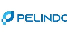 Pelindo